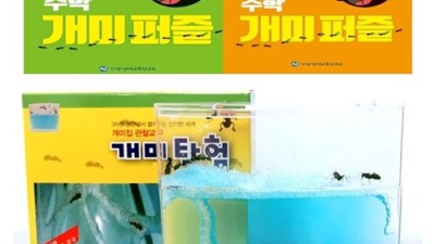 😮우리 아이 창의력 팡팡! 득템찬스! 창의력수학교구 후기