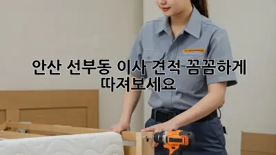 안산 선부동 이사 견적, 꼼꼼하게 따져보세요!